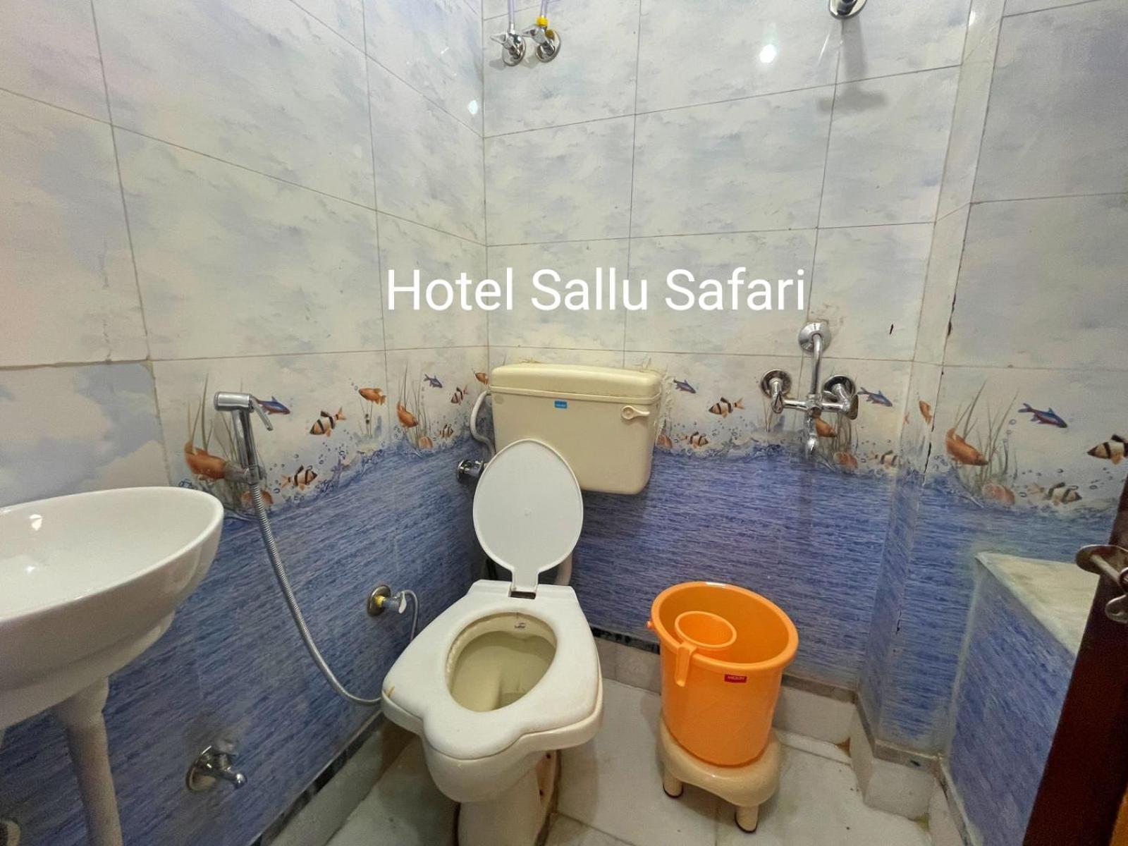 Hotel Sallu Safari Jaisalmer Εξωτερικό φωτογραφία