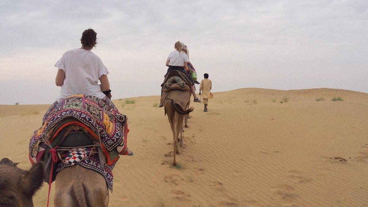 Hotel Sallu Safari Jaisalmer Εξωτερικό φωτογραφία